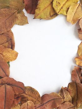 Dry leaves frame for text