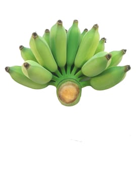 Green cultivated banana on white background