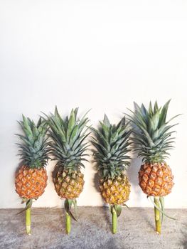 Pineapple isolated on cement floor