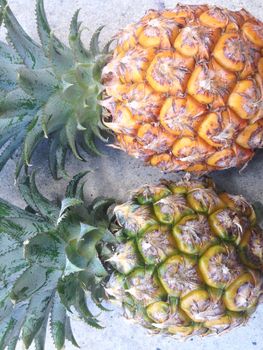 Pineapple isolated on cement floor