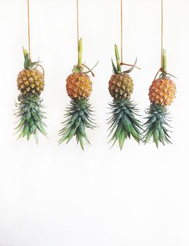 Pineapples hanging, white back ground