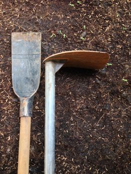 Hoe and Spade with sprout