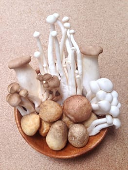 Variety of Mushrooms in a bowl on plywood background
