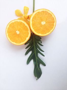 Fresh orange and slices on white background.