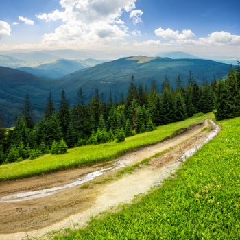 composite landscape with empty road to coniferous forest through the grassy hillside meadow on high mountain range in morning light