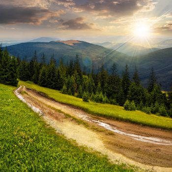 composite landscape with empty road to coniferous forest through the grassy hillside meadow on high mountain range in evening light
