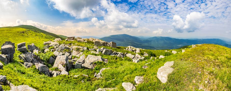 mountain panorama landscape. valley with stones in grass on top of the hillside of mountain range in morning light
