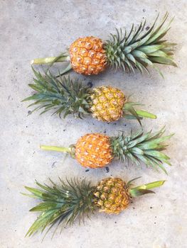 Pineapple isolated on cement floor