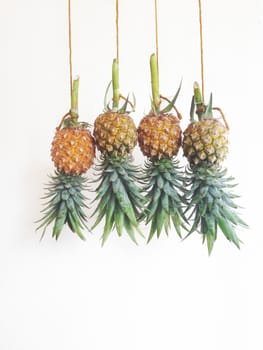 Pineapples hanging, white back ground