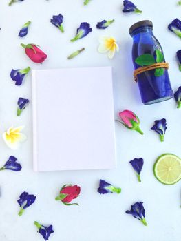 relax day with Butterfly pea
