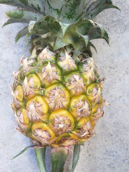 Pineapple isolated on cement floor