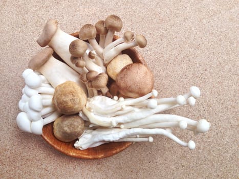 Variety of Mushrooms in a bowl on plywood background