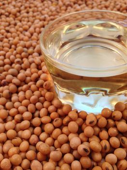 Soy beans oil