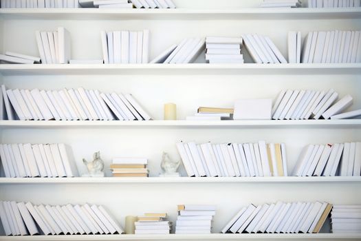 white shelf with books without inscriptions