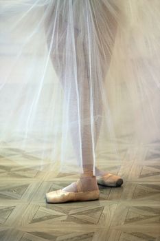 Beautiful legs of the ballerina in pointe shoes