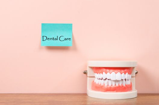 Dental care text on paper note with model teeth on wall.