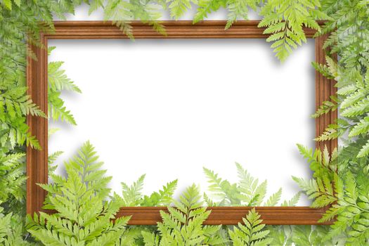 Wooden Frame And Green Leaves For Frame On White Background, Copy Space For Text, Nature Border