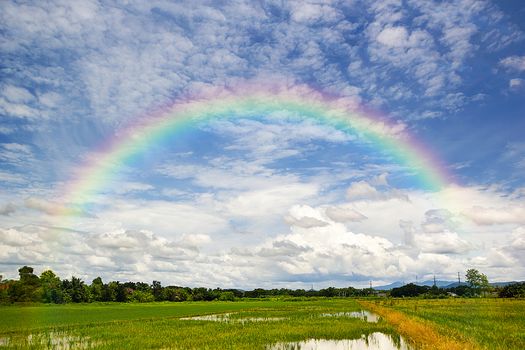 Beautiful Of Rainbow In Blue Sky Over Of Green Rice Field In The Mountain Background.