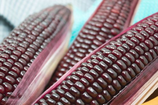 Image Of Purple Sweet Corn, Beautiful Grain For Healthy, Colorful Of Fruits For Decorate Cuisine, Healthy Food.