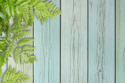 Green Leaves On Wooden With Spaces For Text, Nature Border