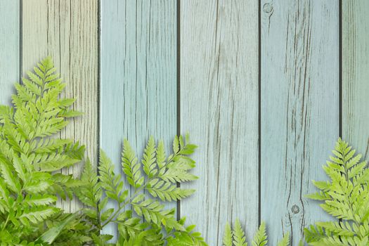 Green Leaves On Wooden With Spaces For Text, Nature Border