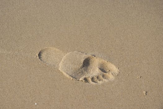 Footprint on the beach photo. Beautiful picture, background, wallpaper 