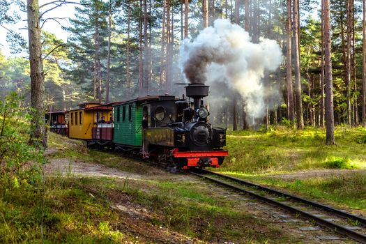 Train oRetro retro-train on a narrow-gauge railway in the museum, Ventspilsn a narrow-gauge railway