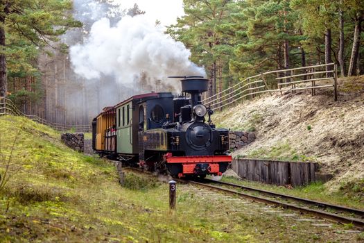 Train oRetro retro-train on a narrow-gauge railway in the museum, Ventspilsn a narrow-gauge railway