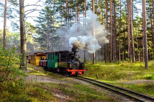 Train oRetro retro-train on a narrow-gauge railway in the museum, Ventspilsn a narrow-gauge railway