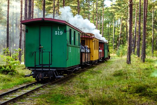 Train oRetro retro-train on a narrow-gauge railway in the museum, Ventspilsn a narrow-gauge railway