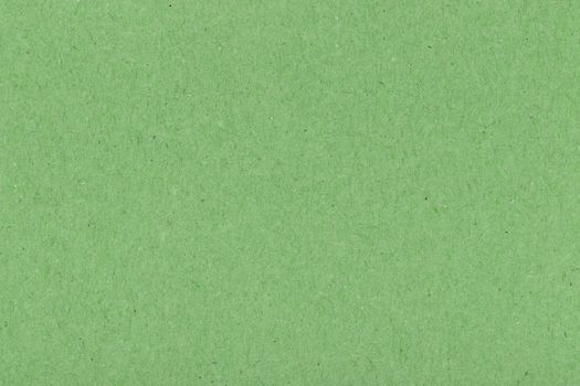 Natural green recycled paper texture background. Paper texture.