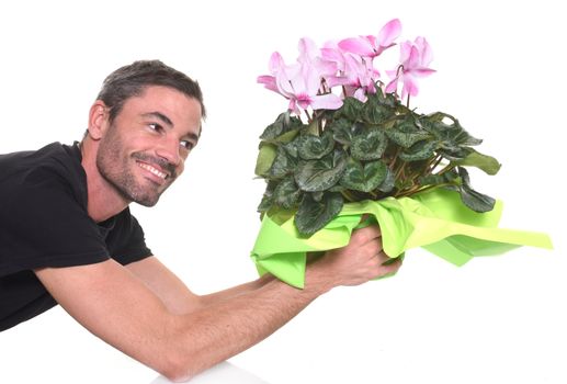 man giving a pink Cyclamen in front of white background