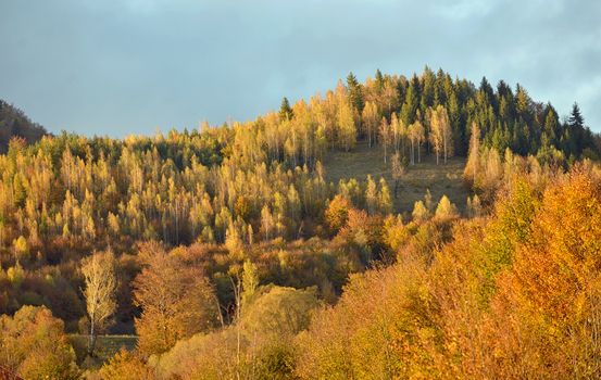 Colorful autumn landscape in the mountain village