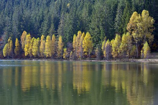 Autumn  with the yellow foliage in Lake Saint Ann