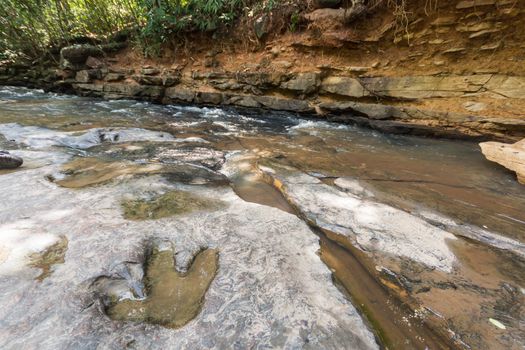 Footprint of dinosaur ( Carnotaurus ) on ground near stream at Phu Faek national forest park , Kalasin ,Thailand . Water logged on it .