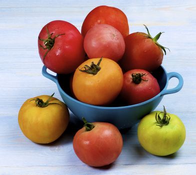 Colorful Fresh Tomatoes with Water Drops in Blue Colander closeup on Wooden background