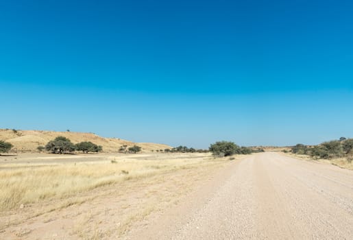 The C15-road follows the dry Auob River bed south of Gochas in the Hardap Region in Namibia