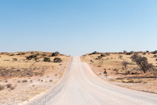 The C17-road in the southern Kalahari area of Namibia crosses many overgrown red sanddunes
