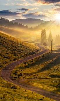 rural landscape. curve road to conifer forest in fog through  hillside meadow  in high mountains in evening light