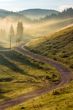 rural landscape. curve road to conifer forest in fog through  hillside meadow  in high mountains in morning light