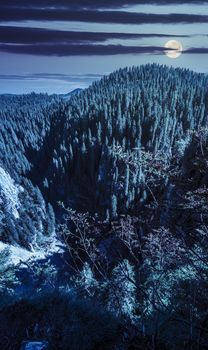steep cliff over natural Cetatile cave sculpted by river in romanian mountains with conifer forest at night in full moon light