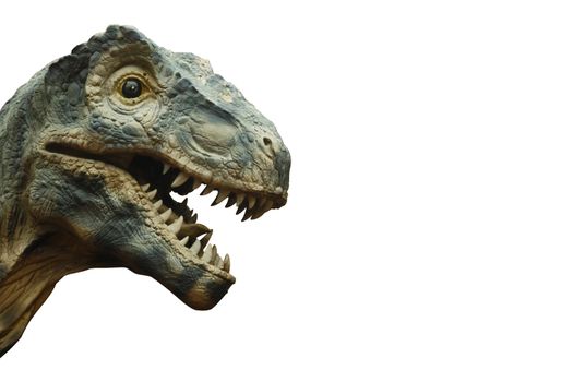 Tyrannosaurus rex and blank area at right side . Isolated .