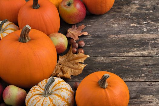 Autumn harvest still life with pumpkins, apples, hazelnut and maple leaves on wooden background