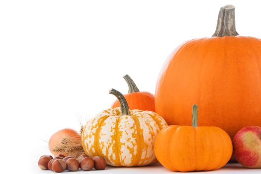 Autumn harvest still life with pumpkins, wheat ears, hazelnuts, garlic, onion and apples isolated on white background