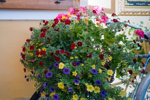 Colourful Flower Display on a Bicycle in Hallstatt