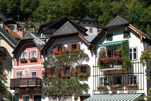 Colourful Red Geraniums on Houses in Hallstatt