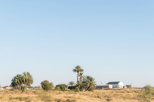 A view of Rietfontein, a small town in the Northern Cape Province of South Africa on the border with Namibia. A fountain is between the palm trees