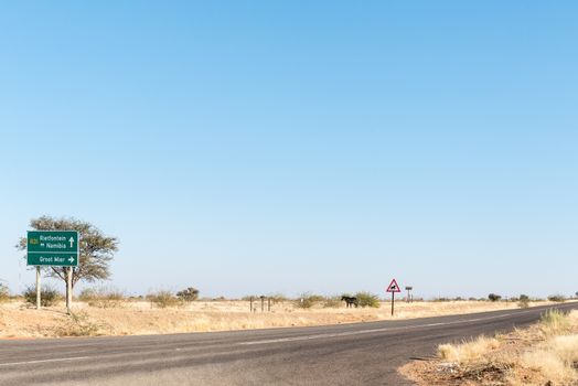 Turn-off from R31-road to Groot Mier (small ant), a village  in the Northern Cape Province of South Africa. A horse and horse warning sign is visible