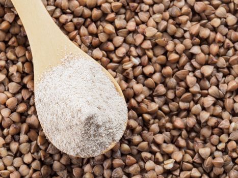 Buckwheat flour in wooden spoon and buckwheat grains. Whole-grain buckwheat flour on buckwheat grains background. Copy space. Top view or flat lay.