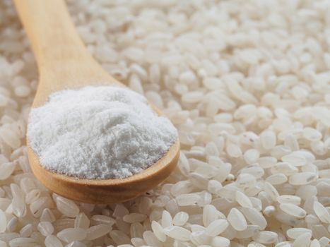rice flour in wooden spoon and rice grains. whole-grain rice flour on rice grains background. Copy space.